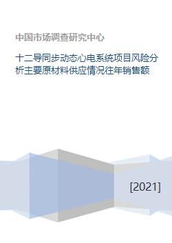 十二导同步动态心电系统项目风险分析主要原材料供应情况往年销售额